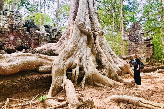 1-Day Angkor Wat Cycling Tour: Scenic Bike Adventure in Siem Reap - Angkor Thom and the South Gate approach you feel in your legs