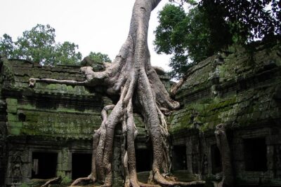 1-Day Angkor Wat Sunrise & All Interesting Temples Private Tour