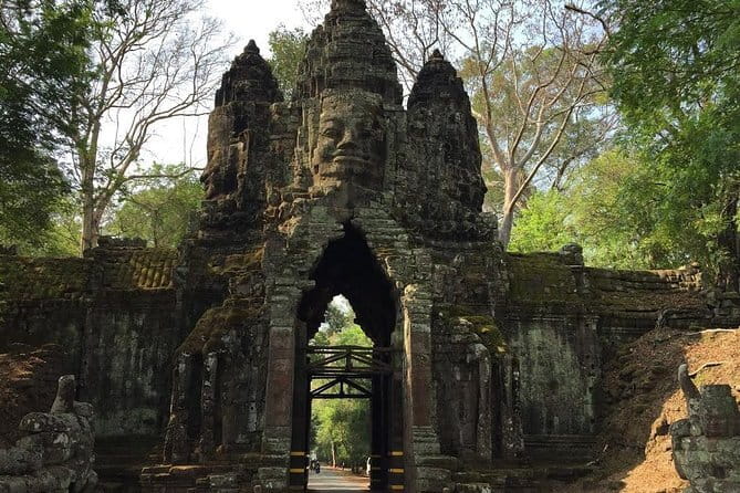 1 Day Angkor Wat with Sunrise Tour - Ta Prohm: Jayavarman VII’s temple and the overgrown drama