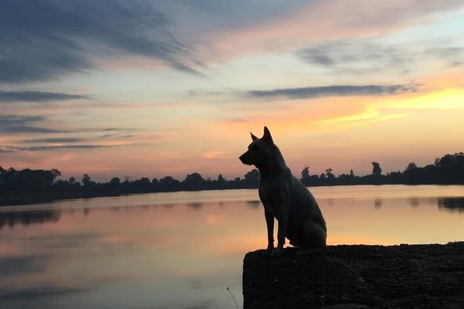 1 Day Angkor Wat with Sunrise Tour - Angkor Thom South Gate and Bayon: faces, symbolism, and the heart of the city