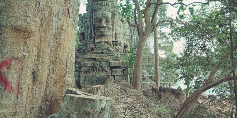 1-Day private Angkor Temple Tour from Siem Reap - Ta Prohm in the late-morning heat, trees on stone, and time to wander