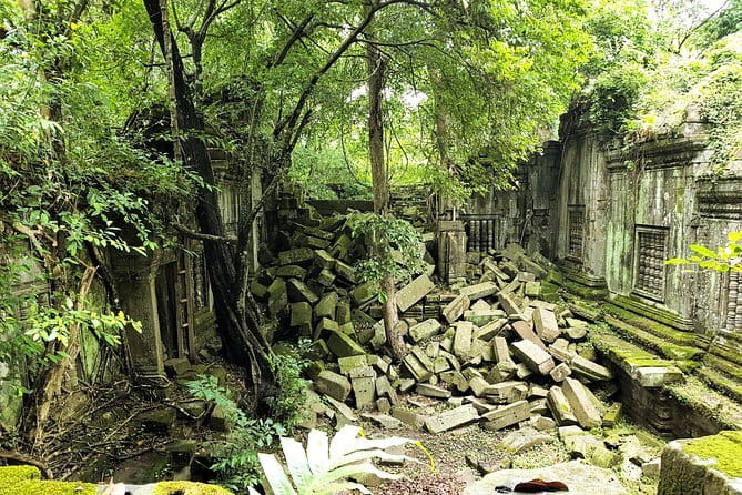 1 day special Tour: Angkor Wat,Bayon,Ta Prohm, Bantey srei and Beng Mealea - Key highlights you’ll feel right away