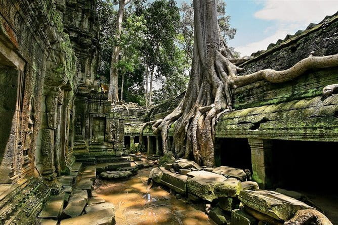 1 day special Tour: Angkor Wat,Bayon,Ta Prohm, Bantey srei and Beng Mealea - Angkor Wat: the classic start, and why timing matters