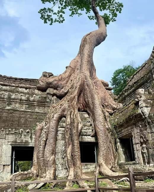 1-Day Trip to Angkor Wat with a Private or Shared Guide in Spanish - One day at Angkor, the smart way to do it