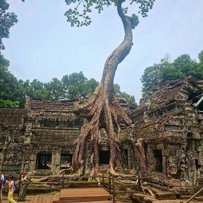 1-Day Trip to Angkor Wat with a Private or Shared Guide in Spanish - Price and value: $40 tour cost, plus the park ticket