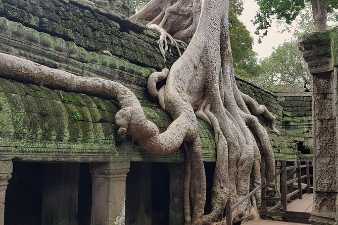 1day Private tour, Angkor sunrise,all main temples, Banteay srei - Price and logistics: what $148.72 per group really means