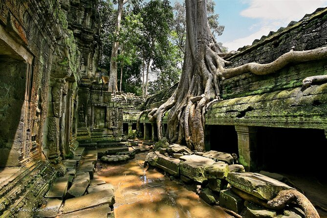 1day private tour to all majestic Temples in Angkor and Sunset - Prasat Suor Prat and the Terrace of the Leper King