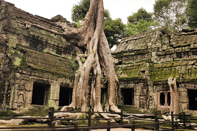 2-Days Private Tour in Angkor Sunrise, Banteay Srei and Beng Mealea Temple - Banteay Srei: why these carvings feel different
