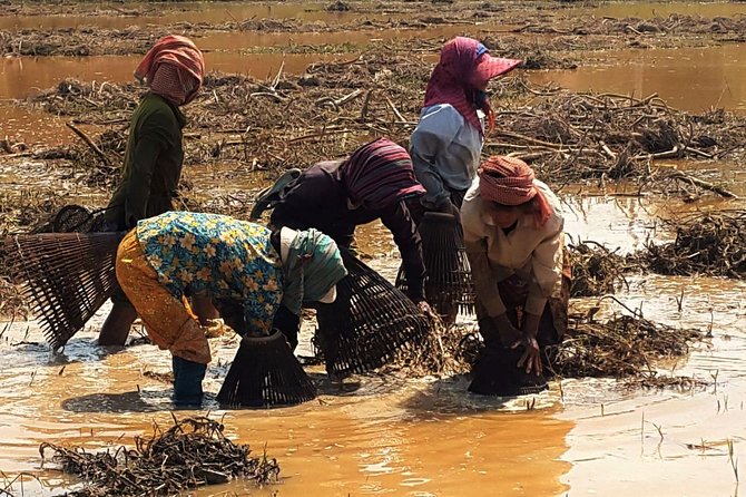 3 day private tour: Angkor,waterfall,Beng Mealea,floating village,Banteay srei. - Phnom Kulen National Park day: waterfall swim, 1000 Lingas, and the reclining Buddha