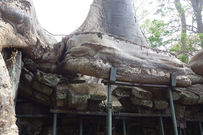 3 Days Private Trip to Angkor Wat from Siem Reap - How the driver-guides make the difference, including Mr Brown and Brown Theng