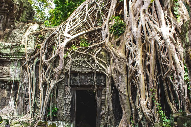 7-must See Temples in Angkor Park (Private Guided Tour) - Bayon and Angkor Thom South Gate: end strong after the sunrise stop