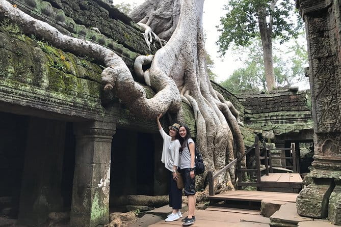 A Day Angkor Park Tours - Private English Speaking Tour Guide - Ta Prohm’s jungle trees: why one hour can be the right amount