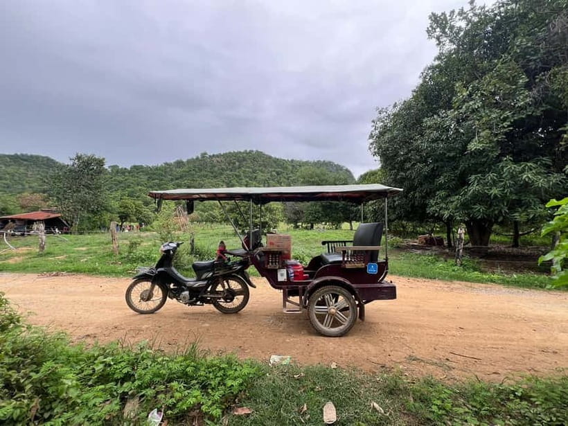 A day tour through Battambang/Local area and landmarks - Battambang City Stops You’ll Actually Feel: Pagoda, Museum, Bridges, Schools