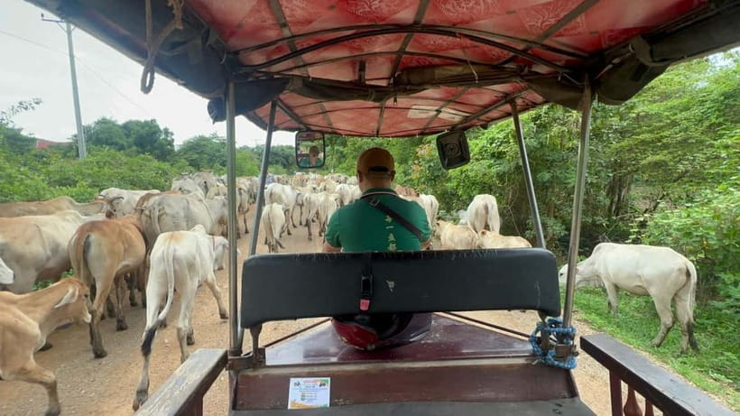 A day tour through Battambang/Local area and landmarks - How The Afternoon Timeline Feels (Typical 1pm To Sunset Setup)