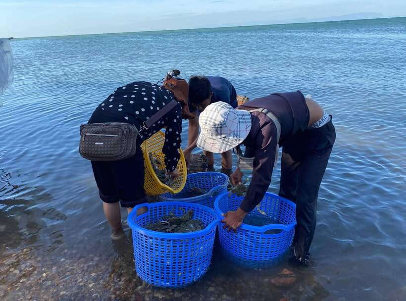A Day Trip to Kep Beach and Kampot from Phnom Penh - The Road From Phnom Penh: 3 to 4 Hours Each Way