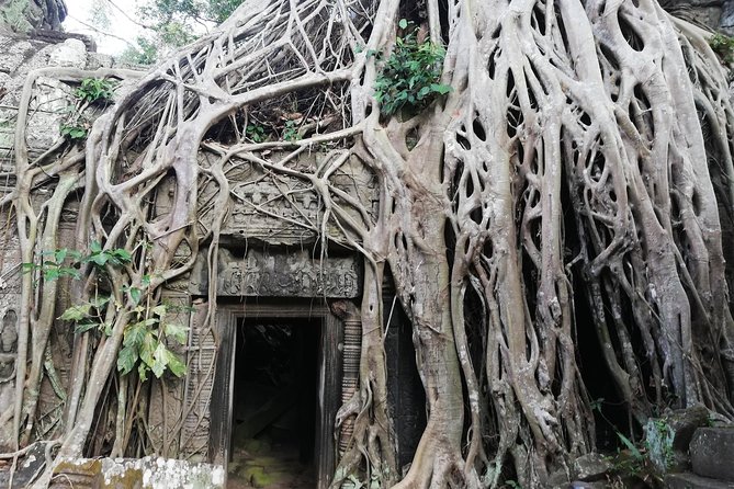 Afternoon Angkor Wat Private Tour with Sunset - Price and value: is $59 per person a good deal?