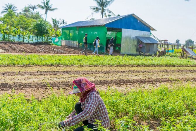Afternoon Cooking Class & Village Tour in Siem Reap - Why this afternoon Khmer class feels more like a village visit