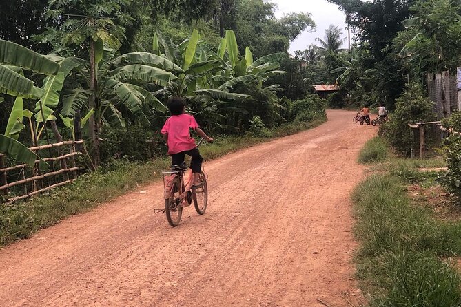 Afternoon tour by tuk tuk to bamboo train,bat cave,killing cave,countryside. - Phnom Sampeau and the Killing Cave viewpoint: history you can’t skip