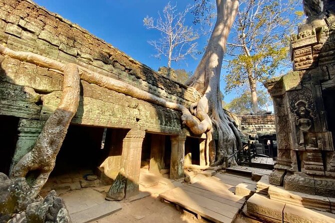 Angkor Cab: Siem Reap 3 day private tour: 'off the beaten track' - Day 2: Ta Prohm with breathing room for the famous roots