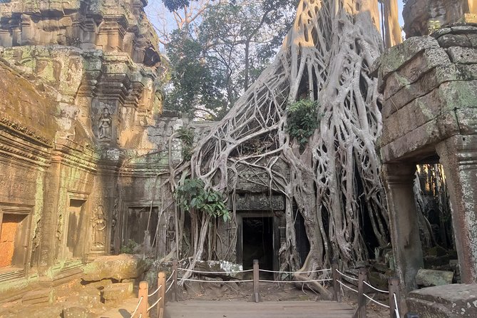 Angkor Discovery 2-Days Of Private Tour - Day 2: Beng Mealea’s mystery, Pink Banteay Srei, and Preah Khan’s long run