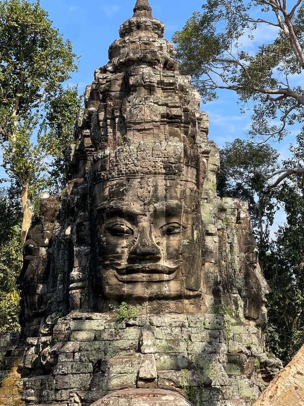 Angkor Highlights and Sunset Tour - Lunch break and Ta Prohm: where the jungle takes over