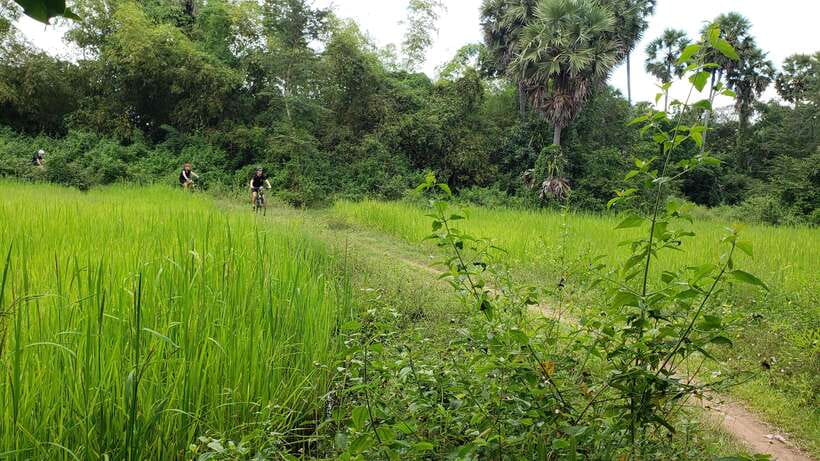 Angkor Jungle Biking Adventure Private Cycling Tour - Ta Prohm and Ta Nei: Jungle Temples With That Tomb Raider Feel