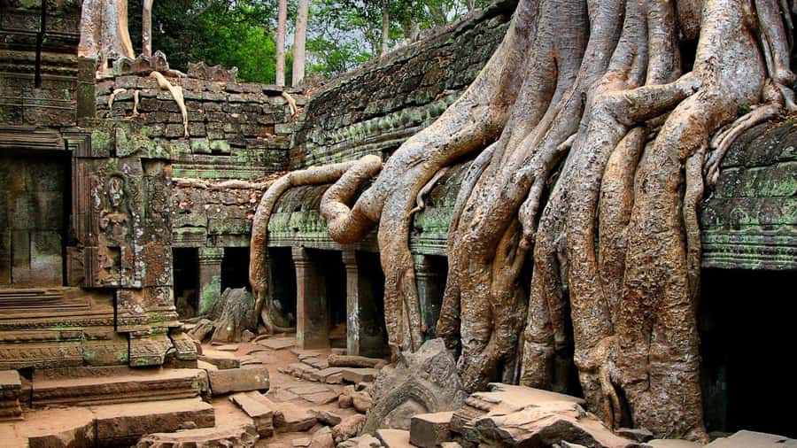 Angkor Region: 3-day Private Tour of Top Temples - Day Two: Angkor Thom, Ta Prohm, Banteay Kdei, and Phnom Bakheng Sunset