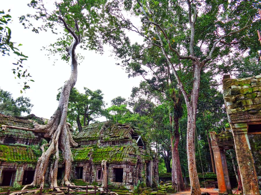 Angkor Region: 3-day Private Tour of Top Temples - Who This Tour Suits Best, and Who Should Rethink It