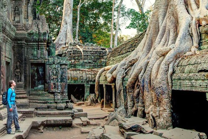 Angkor Sunrise Small Group Tour Inclusive Breakfast and lunch - Should You Book This Angkor Wat Sunrise and Breakfast Tour?
