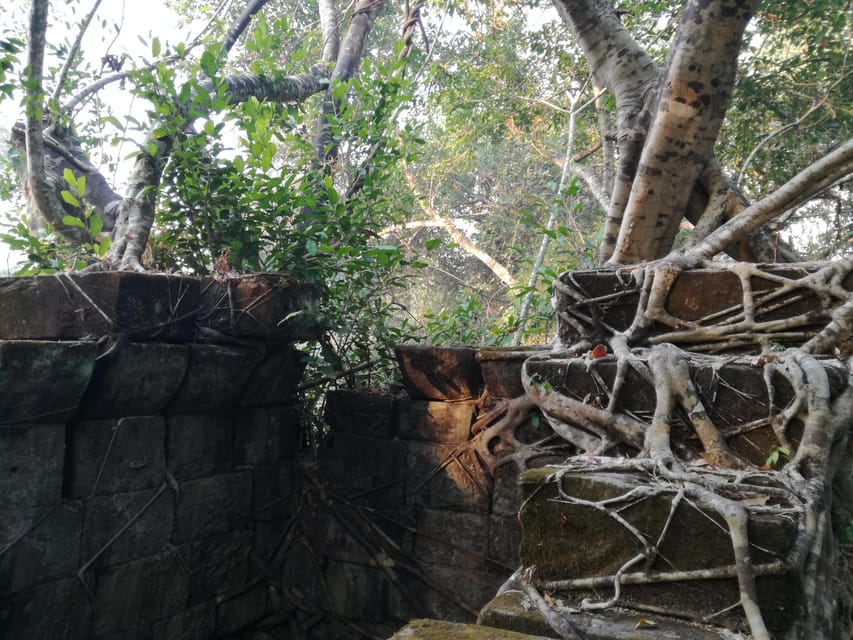 Angkor Temples Highlights Tour: 2 Days with Sunrise - Who this tour suits best, and who should reconsider