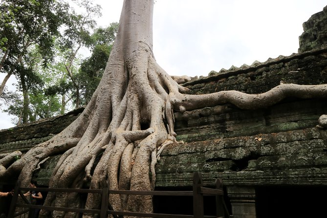 Angkor Temples Private Full-Day Tour from Siem Reap (Free Child) - Terrace of the Elephants: a long, dramatic viewing platform