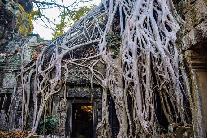 Angkor Wat 1Day Tour With Sunrise - Quick Take: what this Angkor Wat sunrise tour is really like
