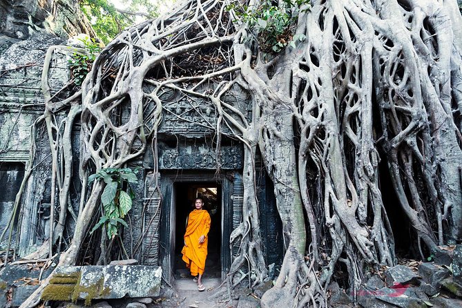 Angkor Wat & Banteay Srey Tour - Ta Prohm: where trees called Spung take over
