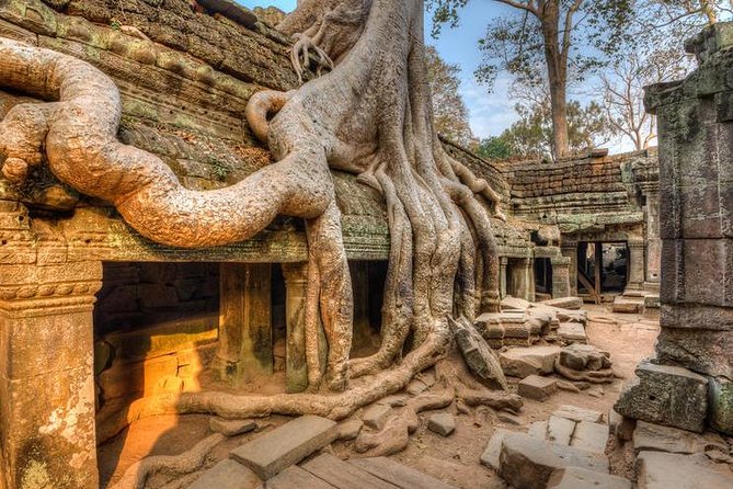 Angkor Wat Day Tours And Sunset - Ta Prohm and Ta Keo: jungle drama and unfinished stone