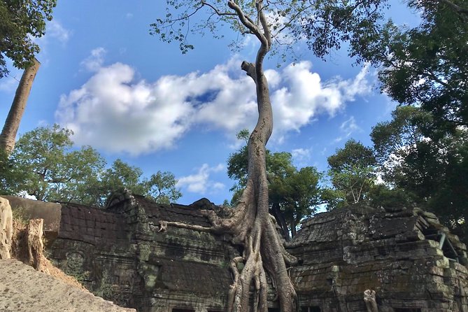 Angkor Wat & Floating Village 3-Day Private Tour - Day 1: Ta Prohm, Angkor Thom, and Angkor Wat with dinner and a show