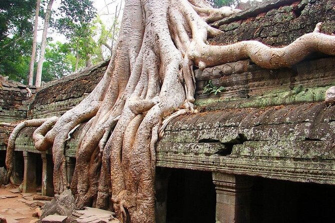 Angkor Wat Full-day Private tour - Angkor Thom South Gate, then Bayon’s 216 smiling faces