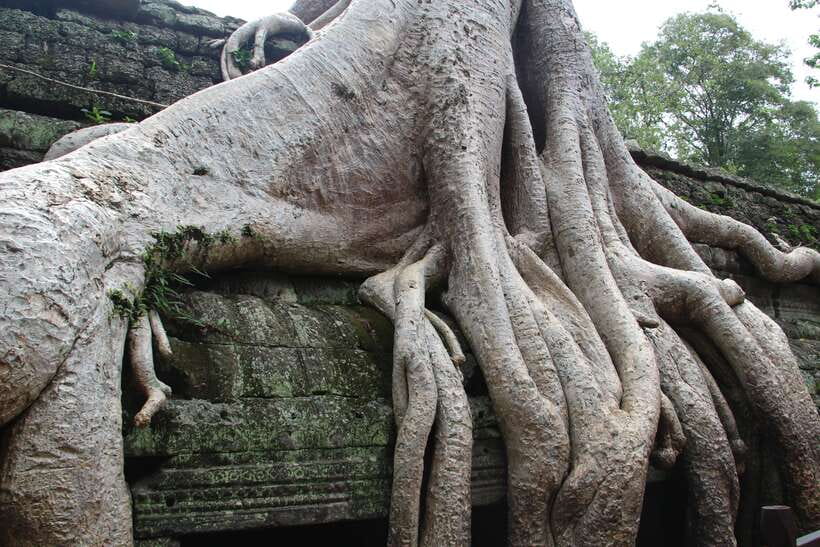 Angkor Wat Full-Day Private Tour with Sunset - Lunch inside the Angkor day, what to plan for