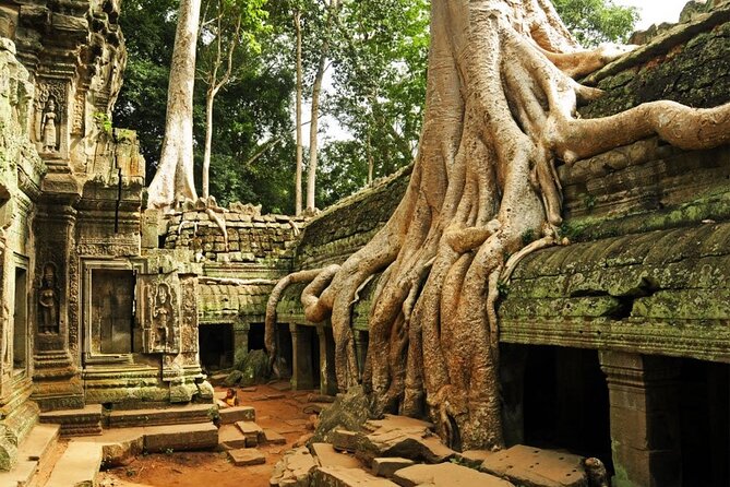 Angkor Wat full Day 'Small Group with sunset & Tour Guide - Price value: $14.50 can work if you plan the extras
