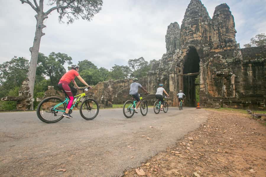 Angkor Wat: Guided Sunrise Bike Tour w/ Breakfast and Lunch - Ta Prohm, the Tomb Raider temple, and the best kind of jungle chaos