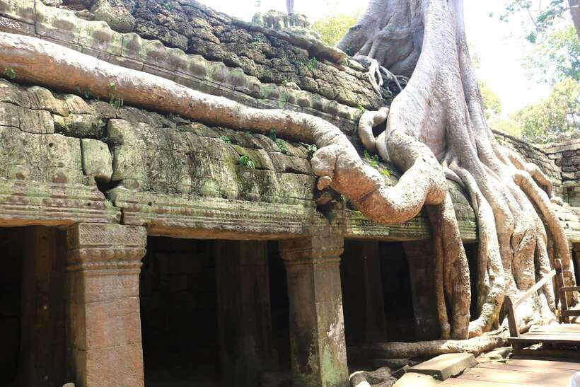 Angkor Wat: Highlights and Sunrise Guided Tour - The Two-Hour Angkor Wat Temple Walk You Actually Understand