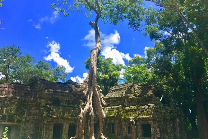 Angkor Wat one Day Private Tour for All Highlight Angkor Temples - Sunset timing: the part you should not treat casually