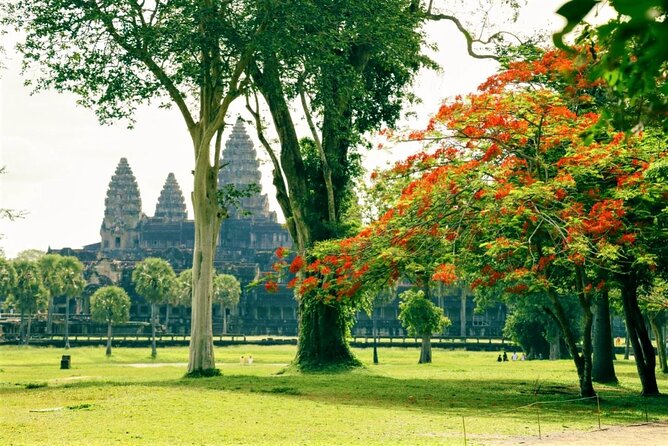 Angkor Wat one Day Private Tour for All Highlight Angkor Temples - Who this tour suits best, and who might want a different style