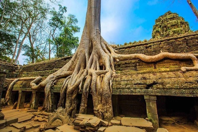 Angkor Wat one Day Private Tour for All Highlight Angkor Temples - Should you book this Angkor Wat one-day private highlights tour?