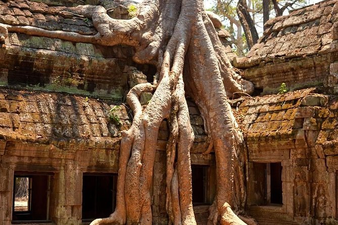 Angkor Wat Private Day Tour - Angkor Wat at Golden Hour: Why the Sunset Timing Matters