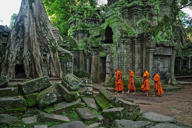 Angkor Wat Private Tour with English Speaking Driver, NO guide - Stop 4: Ta Prohm, fast photos of tree roots