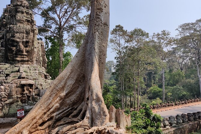 Angkor Wat Private Tuk-Tuk Tour (sunrise Option) & more - Banteay Kdei: Pinkish Stone Carving Contrast