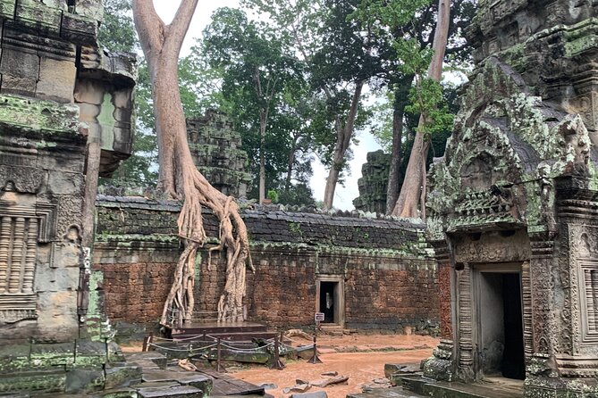 Angkor Wat Small Circuit Tour - Stop 3, Ta Prohm: the Tomb Raider temple moment