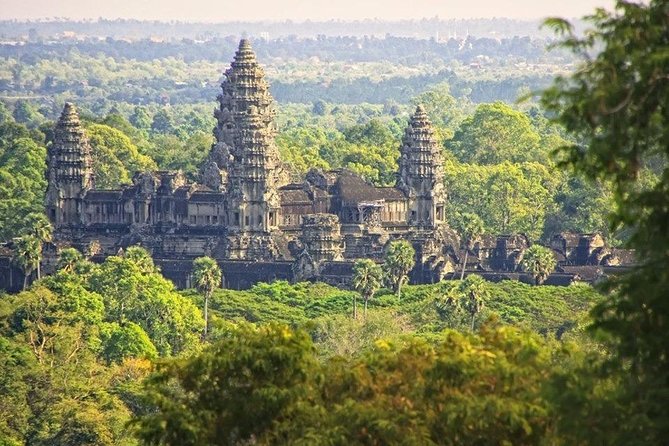 Angkor Wat Small-Group Exploration with Expert Guide - Stop 4, Ta Prohm: When Stone Meets Jungle