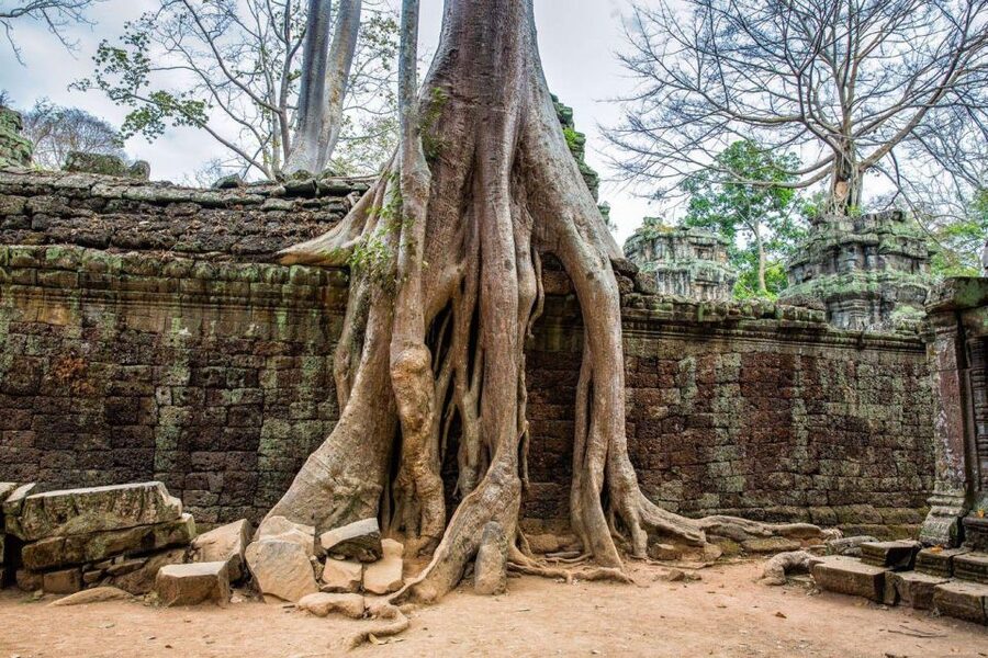 Angkor Wat Small Tour Sunrise With Private Tuk Tuk - Ta Prohm and Banteay Kdei: Your Late-Morning Temple Pair