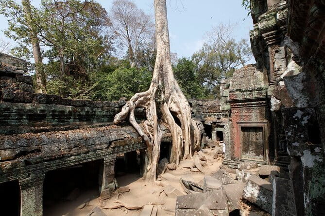 Angkor Wat & Small Tour with Bonteay Srei Temples - Why the guide matters more than the route